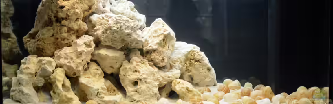 Tanganjika Becken von hauke