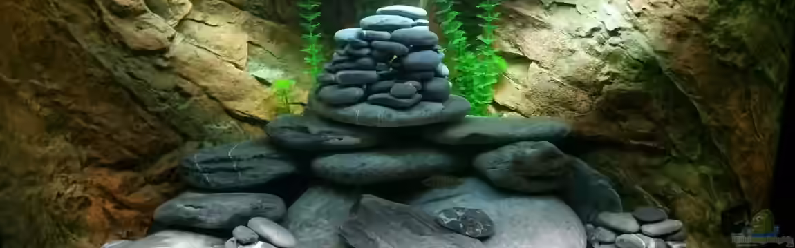 Tanganjika mal anders von Moorna