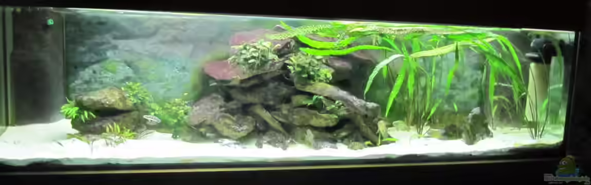 Tanganjika von mr. burns