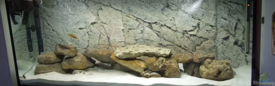 Tanganjika von Rheinfelder