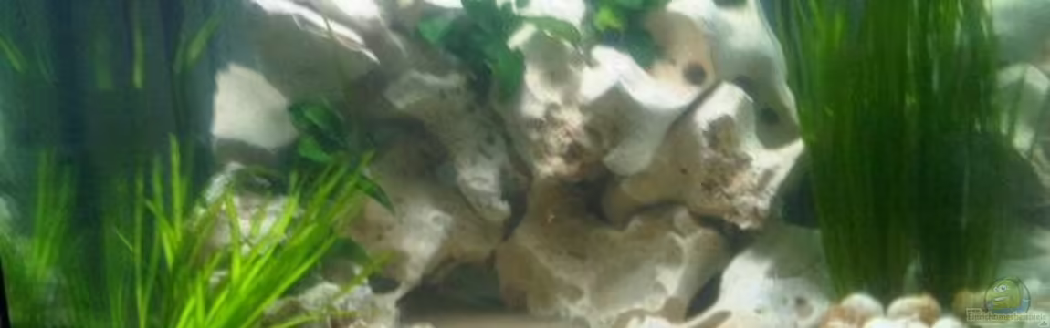 Tanganjikawürfel von Bab1982