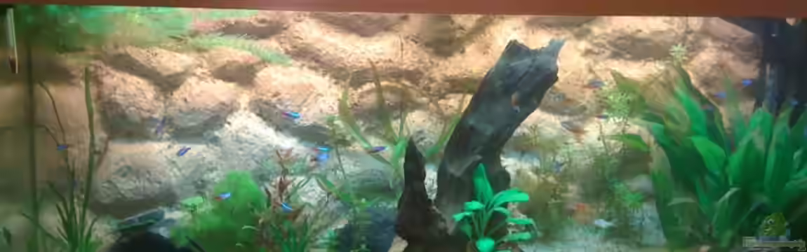 Tank Nation von Kuebiwhv