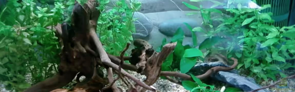 Test/Zweitbecken von -Wasserfreund-