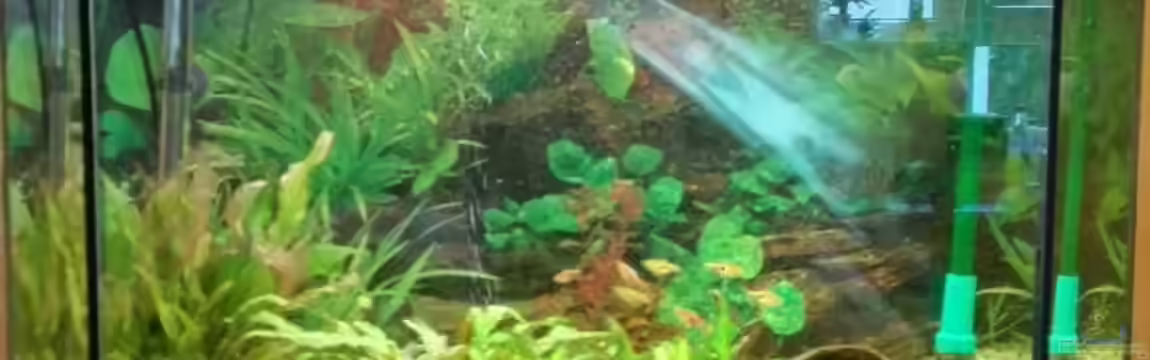 THE_AQUARIUM von Matze2903