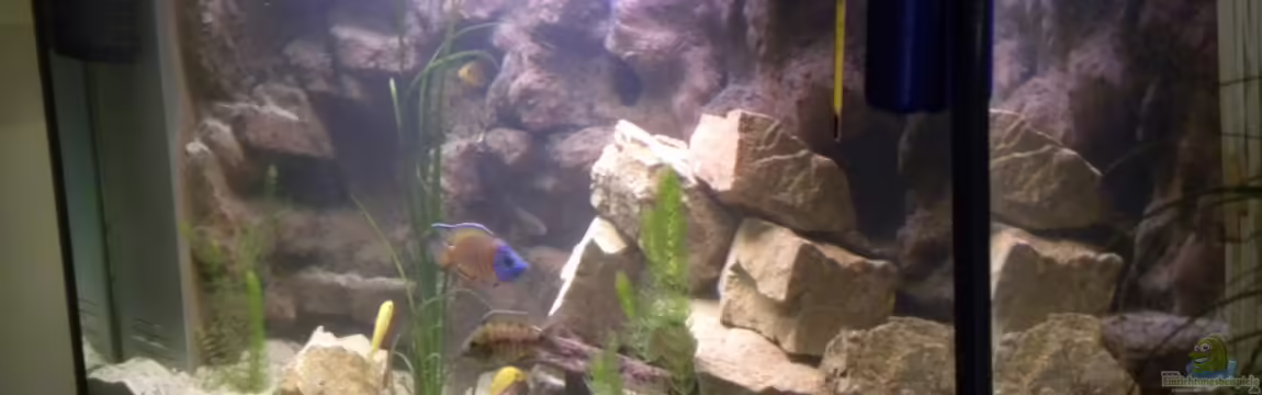 The beauty of Malawi von Harry Penner