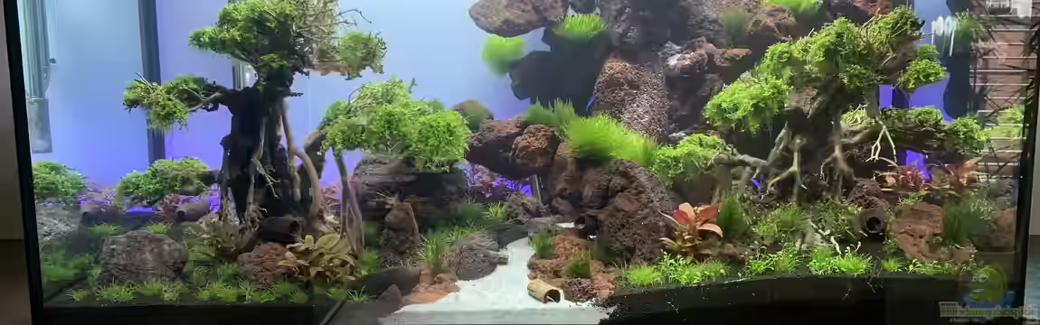 The Bridge von Matze3110