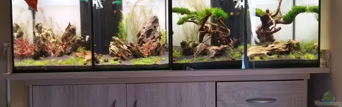 The Diy von Lucky3310