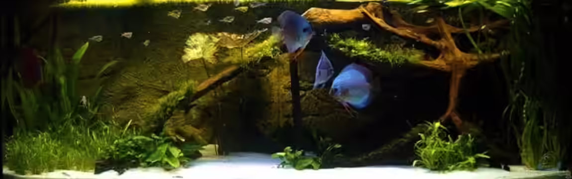 The Lago Azul Obsolete von The_Lizardking