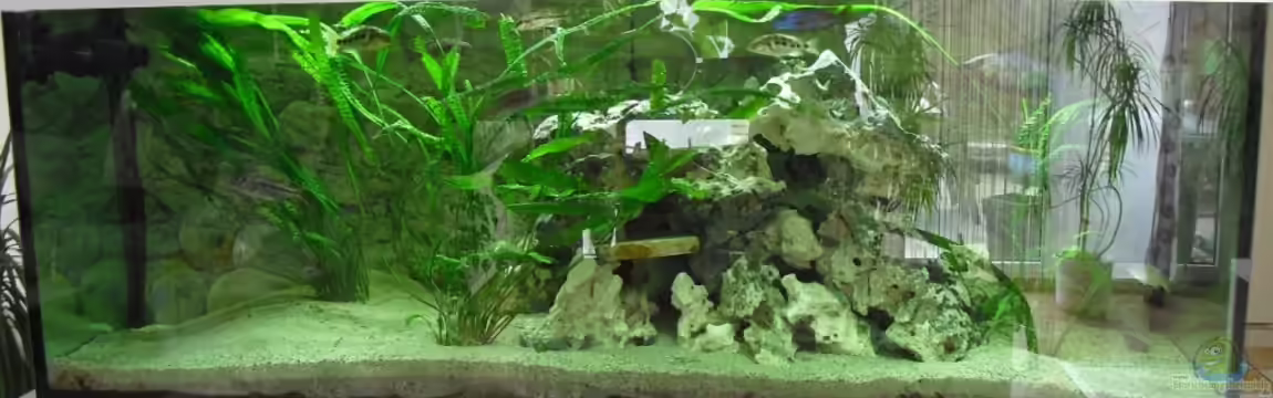 Toelz Räuberhöhle von Toelz