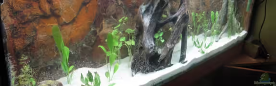 Treppenhaus von Andrea