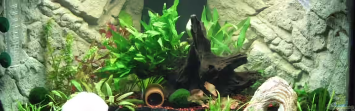 Trigon 190 von Axman