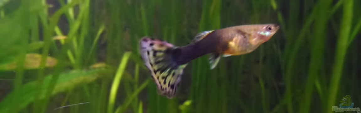 Unser großer Spielplatz aufgelöst von mimi211080