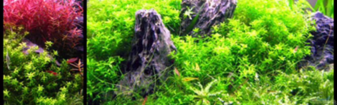 Unser Hobby von Mel&Marc