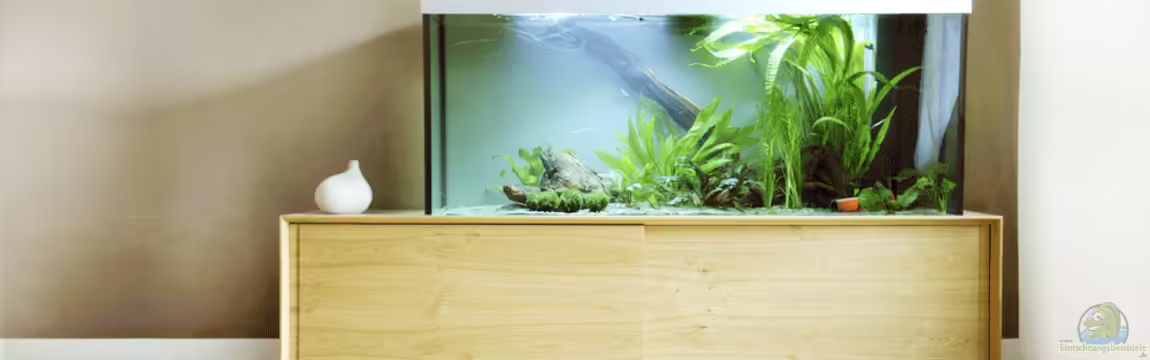 Unser Wohnzimmerschatz von Christian Büning