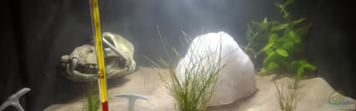 Untertage Thema(Aufgelöst) von Nelle