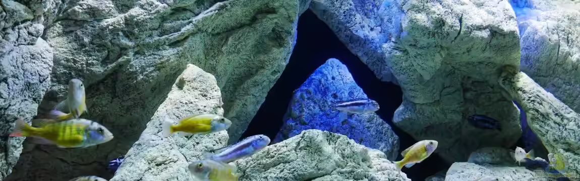 Unterwasser-Höhle von Petr Novak