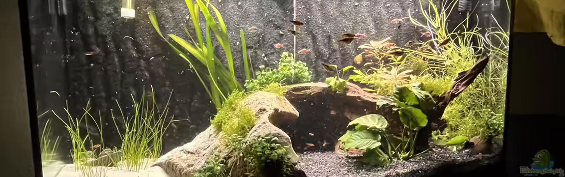 Unterwasserinsel von BoelleRBL