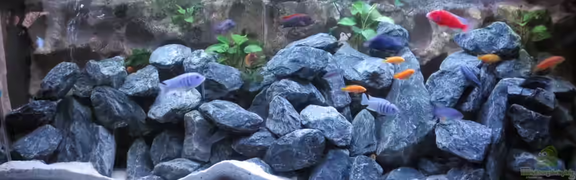 Uwe´s Malawi von Uwe Heit