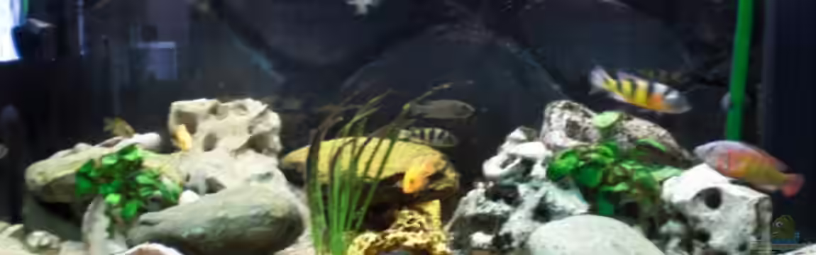 Victoria von pennywise