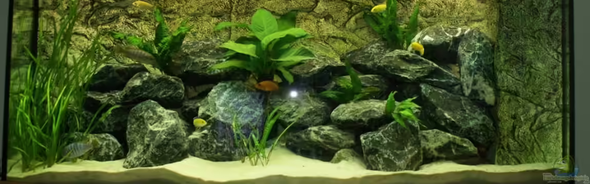 Vision 260 Malawi von Onno83