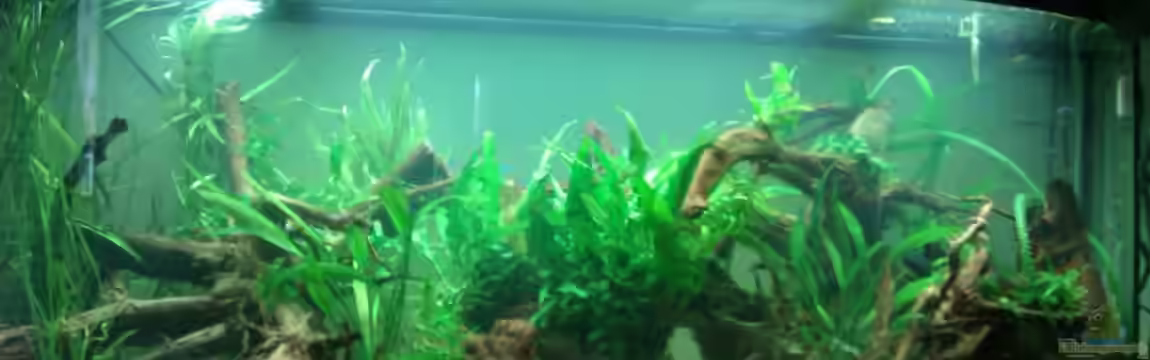 vision 450 von Marko Miedl