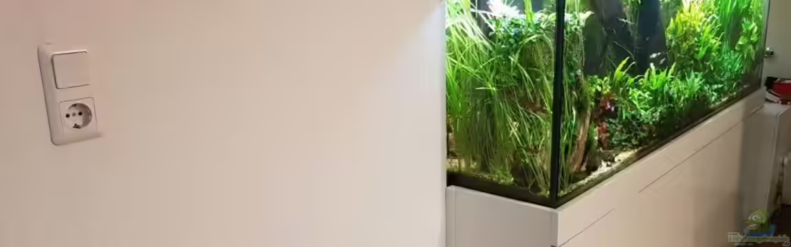 Wandaquarium von Klaus R