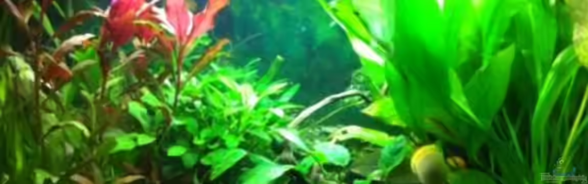 Waterhome von Florian Zisch