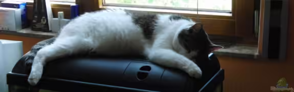 Waterhome von Oberregenwurm