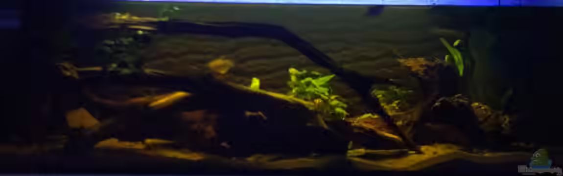 West- Zentralafrika in Aachen von Tiburón