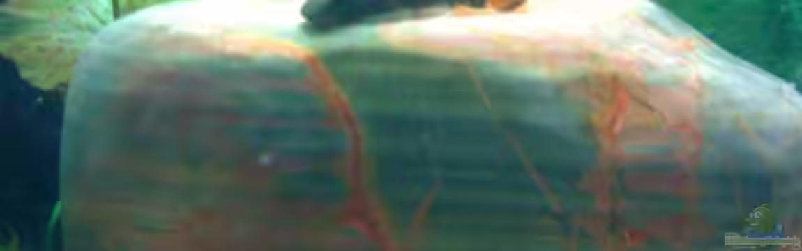 westafrika (nur noch als Beispiel) von ml69