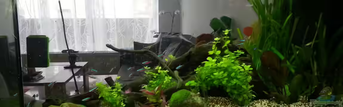 Wohnzimmer-Raumteiler von Katharina Müller