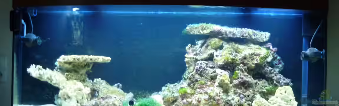 Wohnzimmer Riff von Silverlight