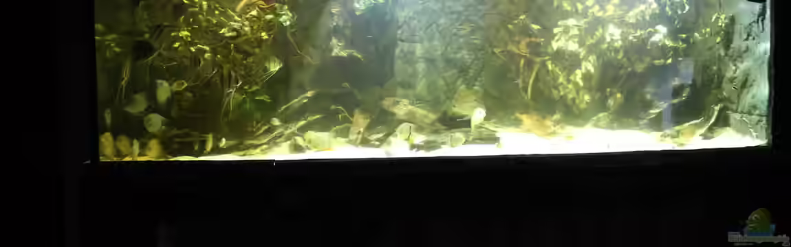 Wohnzimmer Uferzone von T-Aquatics