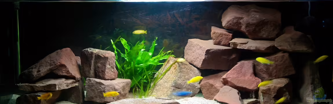 Wohnzimmer von Duder Malawikus