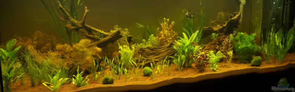 Wohnzimmer1 von Sven Schneider