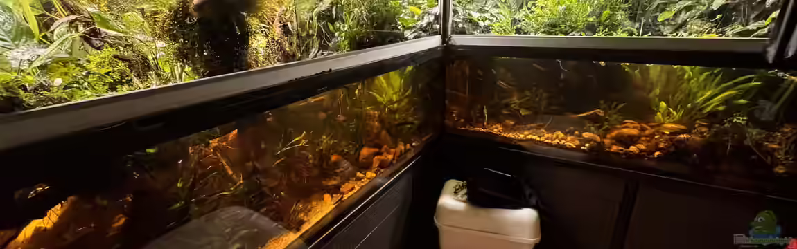 Wohnzimmeraquarium im Keller von cws