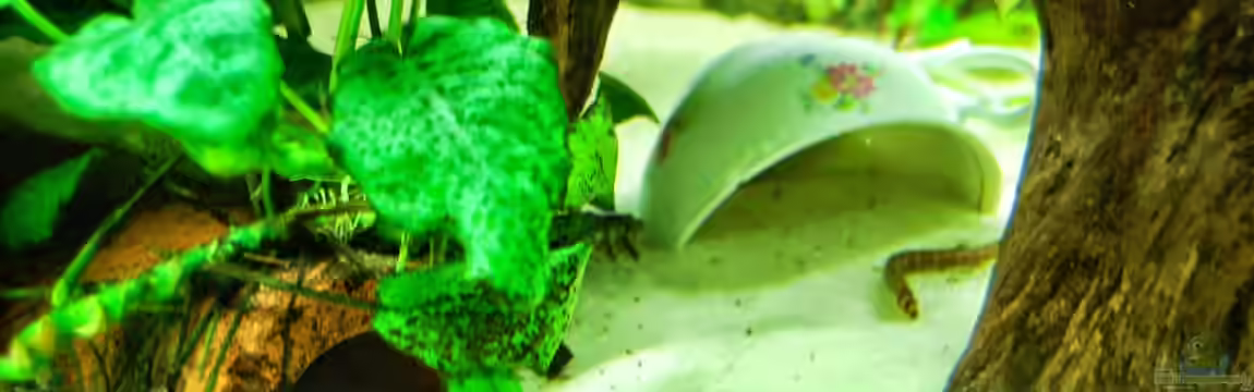 Wohnzimmerfussboden von derFalk