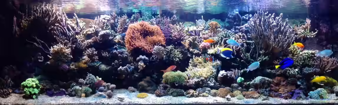 Wohnzimmerriff von MartinS