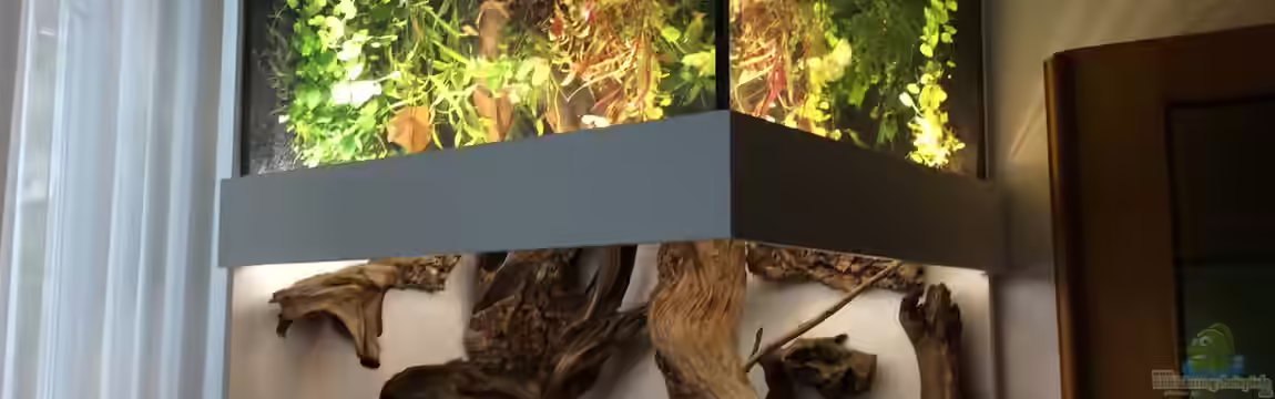 Wohnzimmerteich von Mellon