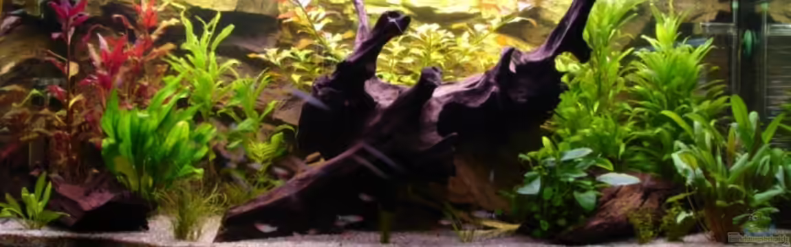 Wood world (nur noch als Beispiel) von Michael Z.