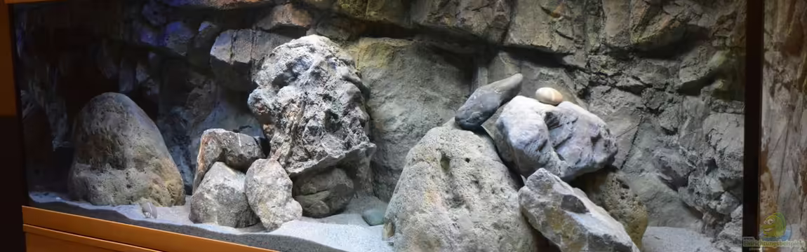 Zizou's Malawi Cave von Malawi-Zizou