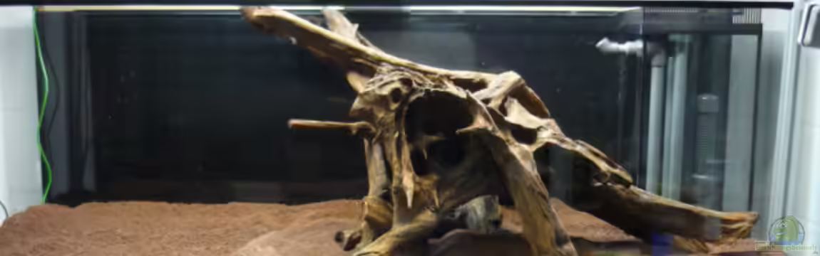 Zu Hause Süsswasser von OldFriend