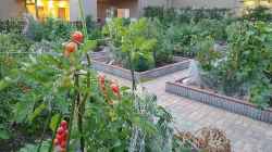 Urban Gardening: Grüne Oasen mitten in der Stadt