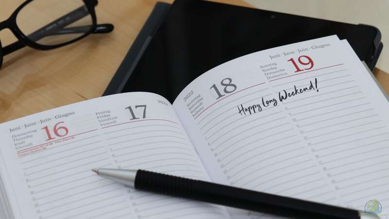 Die perfekte Planung: Personalisierte Kalender kaufen