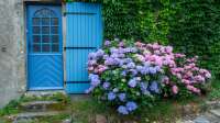 Der Artikel Hortensien im Garten: Alles, was du über Pflege, Sorten und Blütenpracht wissen musst ist neu oder wurde geändert.
