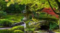 Der Artikel Schritt für Schritt den eigenen Garten zum Japanischen Garten umgestalten ist neu oder wurde geändert.