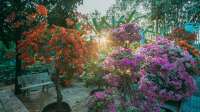 Der Artikel Bougainvillea: Das sind die Arten für Anfänger in der mediterranen Gartengestaltung ist neu oder wurde geändert.