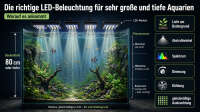 Der Artikel Die richtige LED-Beleuchtung für sehr große und tiefe Aquarien auswählen ist neu oder wurde geändert.