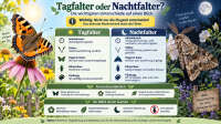 Der Artikel Tagfalter oder Nachtfalter: So lassen sich Schmetterlinge richtig unterscheiden ist neu oder wurde geändert.