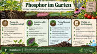 Der Artikel Phosphor im Garten: Bedeutung, Wirkung, Mangel und richtige Düngung ist neu oder wurde geändert.